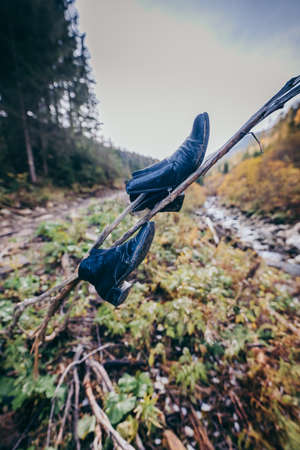 A bird flying in the sky a mountainの写真素材