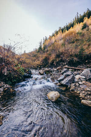 A rocky island in the middle of a forestの写真素材