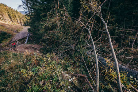 A close up of a hillside next to a forestの写真素材