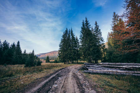 A large long train on a train track with trees in the backgroundの写真素材