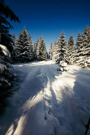 A snow a covered slope a mountain