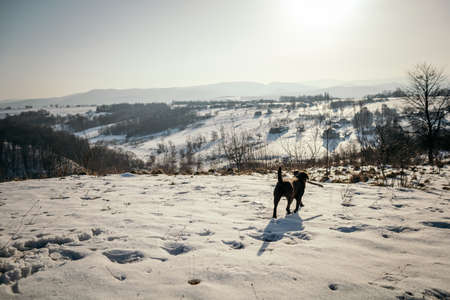 A group of people walking across a snow covered mountainの写真素材