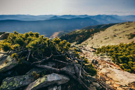 A close up of a rock mountainの写真素材