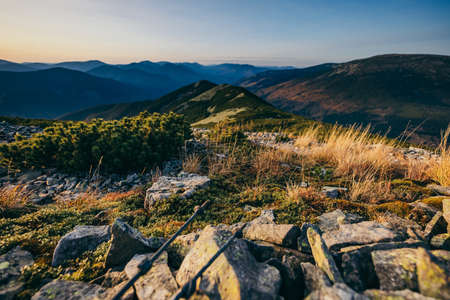 A rocky mountain with trees in the backgroundの写真素材