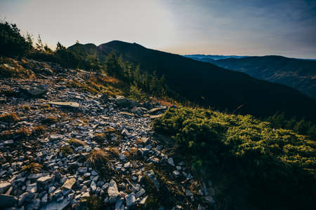 A herd of sheep standing on top of a mountainの写真素材