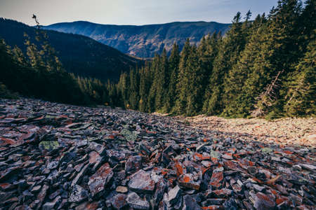 A canyon with a mountain in the backgroundの写真素材