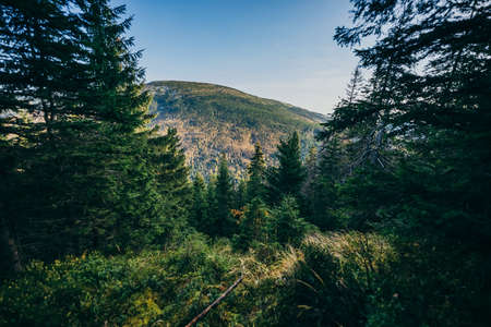 A sign on the side of a treeの写真素材