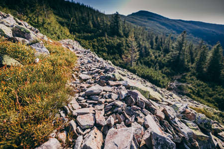 A rocky mountain with trees in the backgroundの写真素材