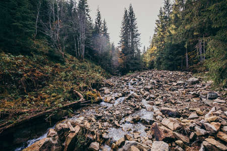A rocky area next to a forest a mountainの写真素材