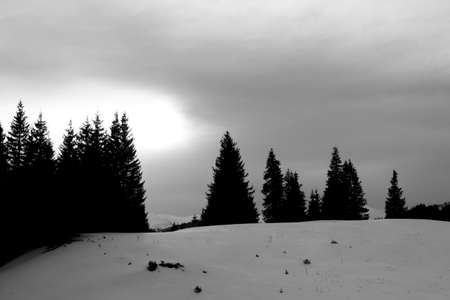 A close up of a snow covered slopeの写真素材