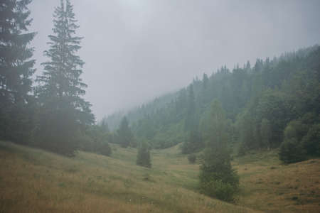 A sign on the side of a mountainの写真素材