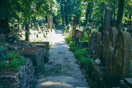 A group of people in a gardenの写真素材