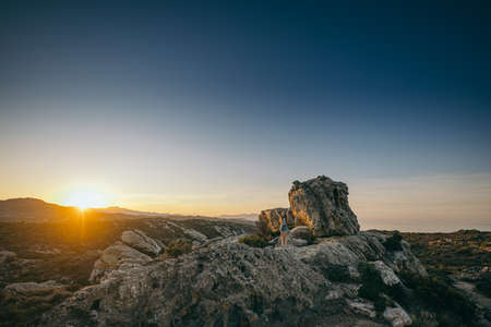 A bird sitting on a rockの写真素材