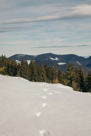 A man riding a snowboard down a snow covered mountainの写真素材