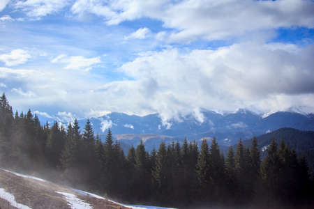 A group of people in a forestの写真素材