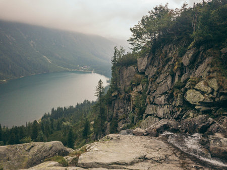 A view of a rocky mountain with trees in the backgroundの写真素材