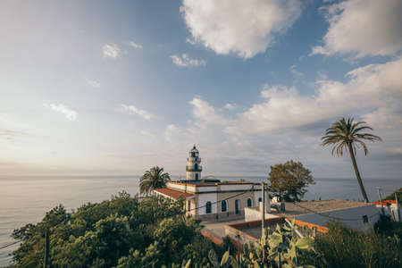 A group of palm trees with a building in the backgroundの写真素材