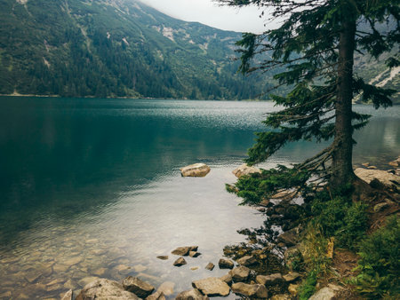 A body of water with a mountain in the backgroundの写真素材