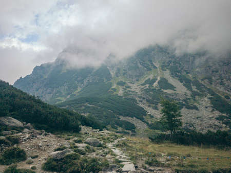 A large mountain in the backgroundの写真素材