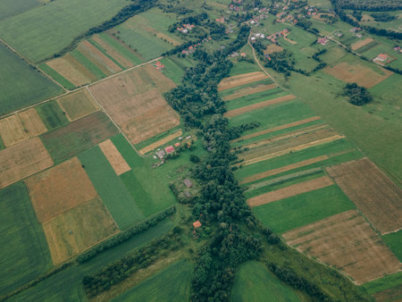 A close up of a green fieldの写真素材