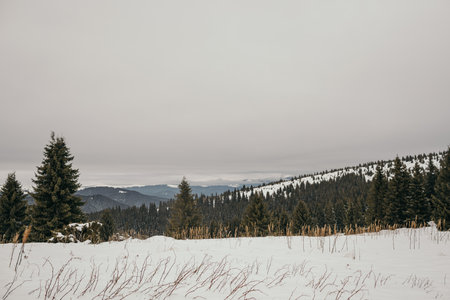 A man riding a snowboard down a snow covered slopeの写真素材