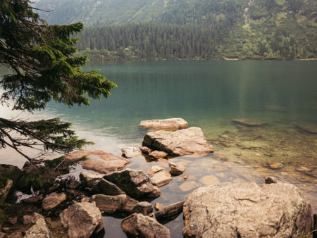 A close up of a rock next to a body of waterの写真素材