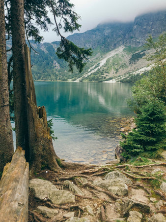 A waterfall with trees on the side of a mountainの写真素材