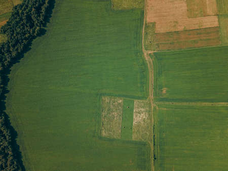 A close up of a green fieldの写真素材