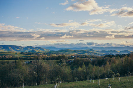 A large green field with trees in the backgroundの写真素材
