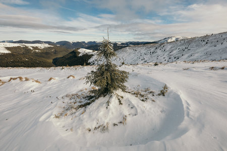 A man riding on top of a snow covered mountain