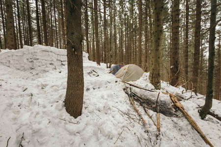A pile of snow next to a forest