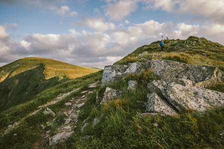 A close up of a hillside next to a rockの写真素材