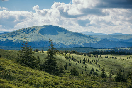 A herd of sheep grazing in a field with a mountain in the backgroundの写真素材