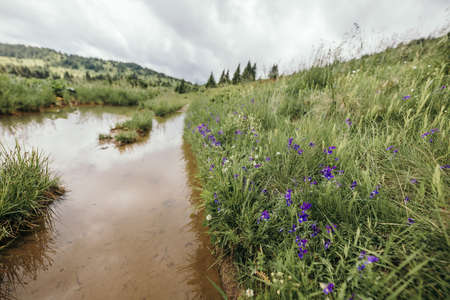 A garden with water in the backgroundの写真素材