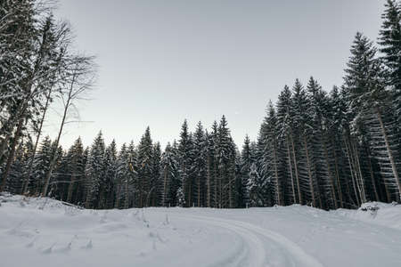 A man riding a snowboard down a snow covered slopeの写真素材