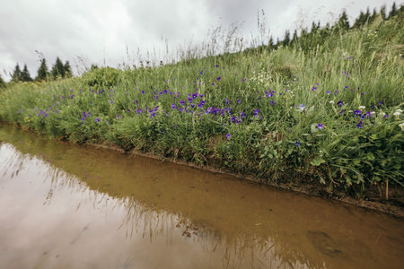 A close up of a pondの写真素材