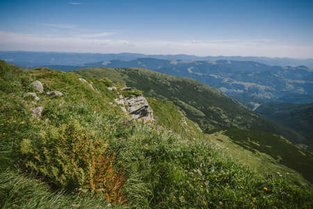 A close up of a hillside view with a mountain in the backgroundの写真素材