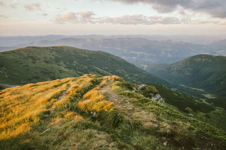 A view of a lush green hillsideの写真素材
