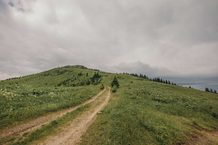 A dirt road in a grassy fieldの写真素材