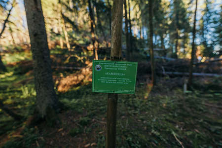 A sign in front of a forestの写真素材