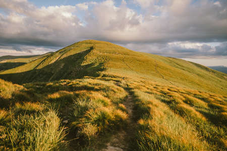 A field with a mountain in the backgroundの写真素材