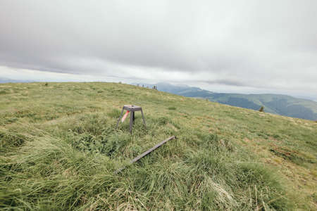 A herd of cattle standing on top of a dry grass fieldの写真素材