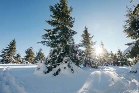 A man riding skis down a snow covered slopeの写真素材