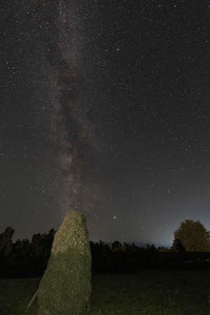 A stop sign at nightの写真素材