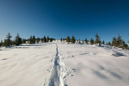 A man riding skis down a snow covered slopeの写真素材
