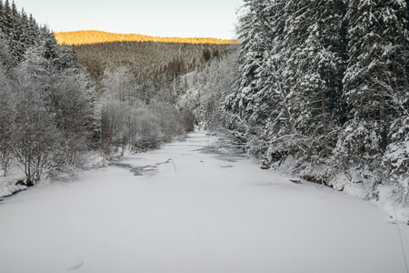 A person cross country skiing in the snowの写真素材