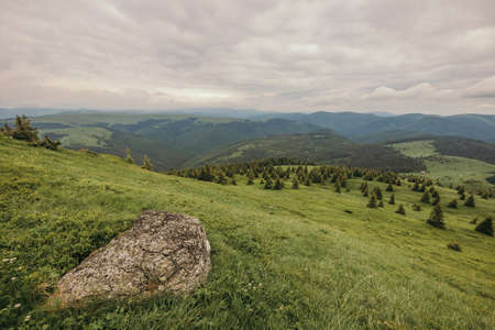 A herd of sheep standing on top of a mountainの写真素材