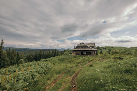 A castle on top of a lush green field