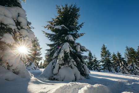 A man riding on top of a snow covered slopeの写真素材