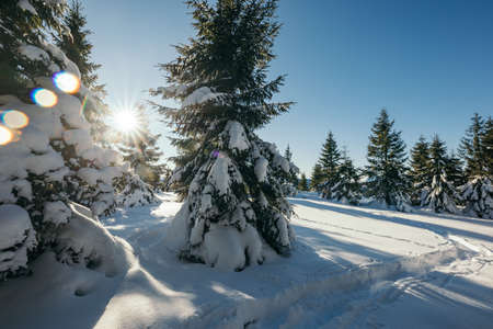 A man riding skis down a snow covered slopeの写真素材